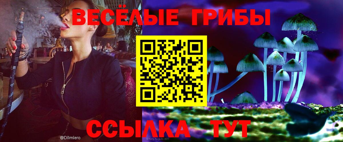 Галлюциногенные грибы Psilocybe Городец