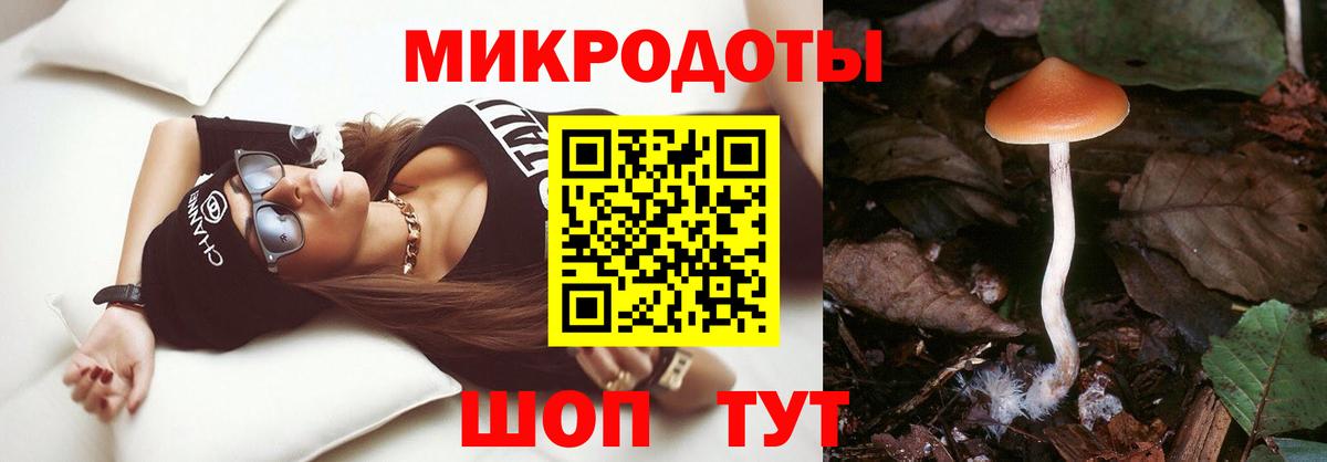 Псилоцибиновые грибы Cubensis  Вход с VPN  Городец 